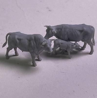 Cow family (3)
